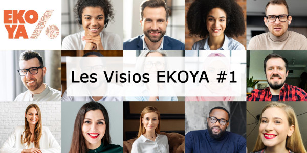 Les Visios Ekoya : Le regroupement de crédits