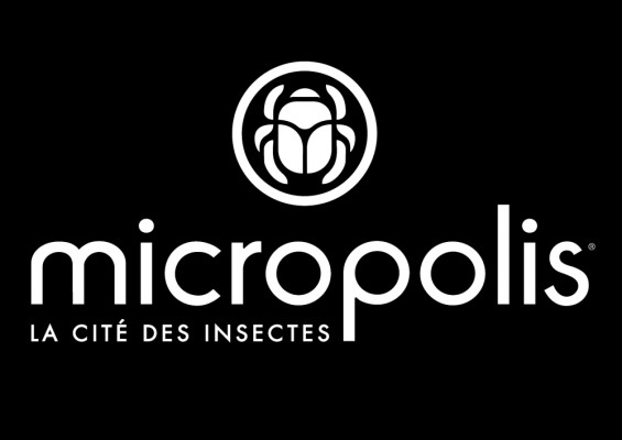 Micropolis