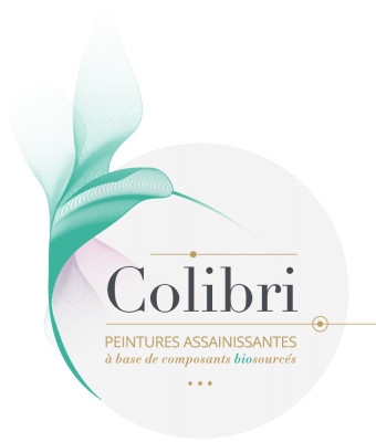 Colibri Peinture